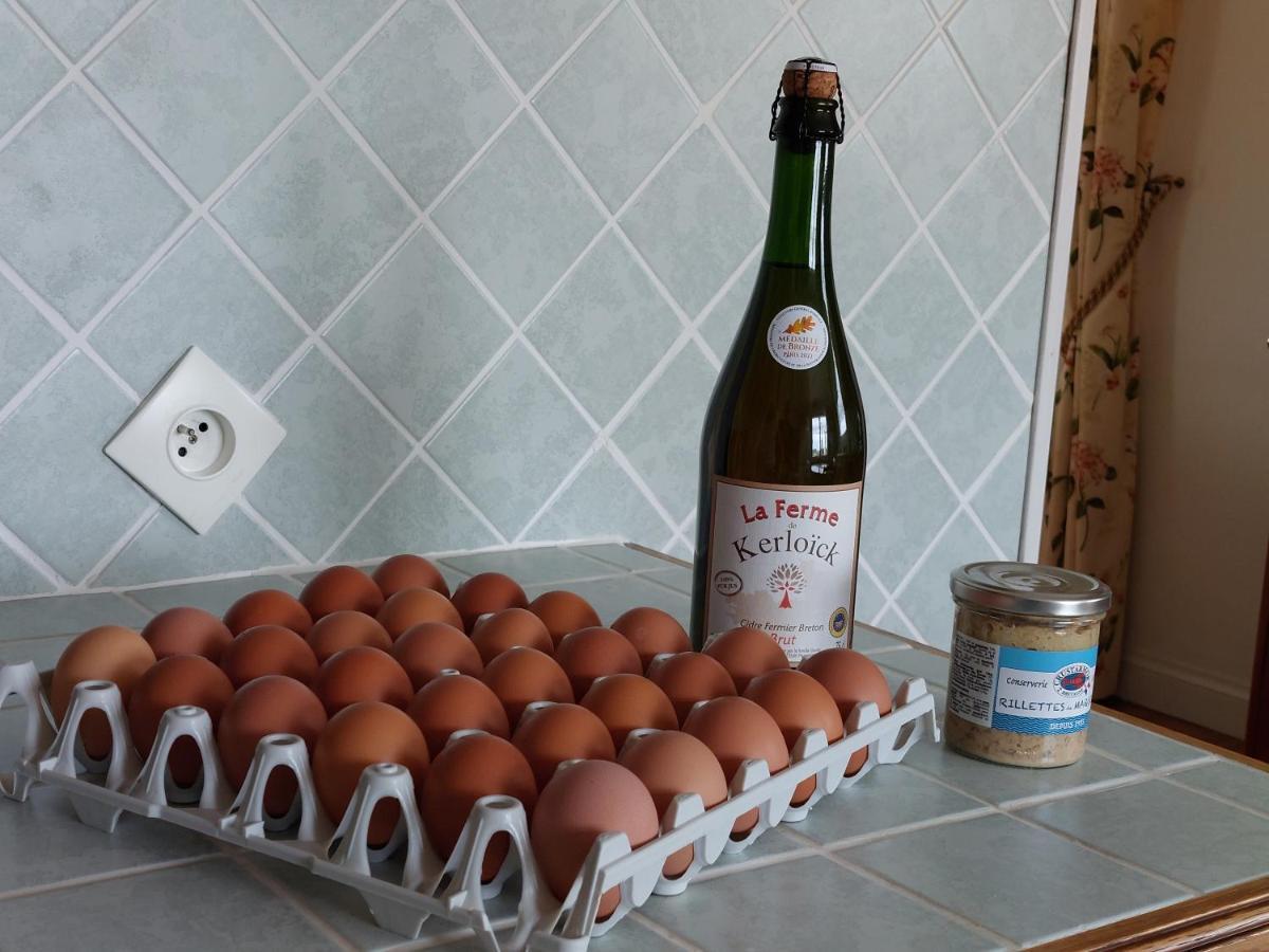 TY ANN maison avec jardin clos de mur, à proximité des commerces et à 3km des plages Penvénan Esterno foto